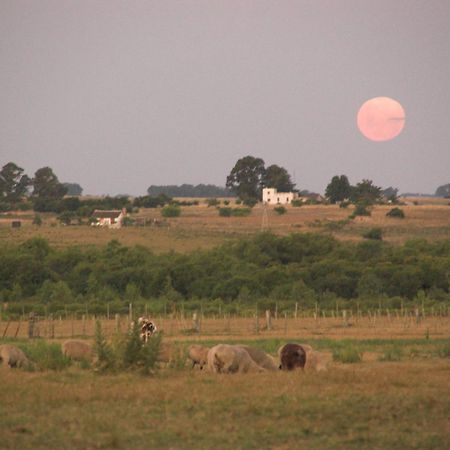 Estancia Hosteria El Ceibo Florida Zewnętrze zdjęcie