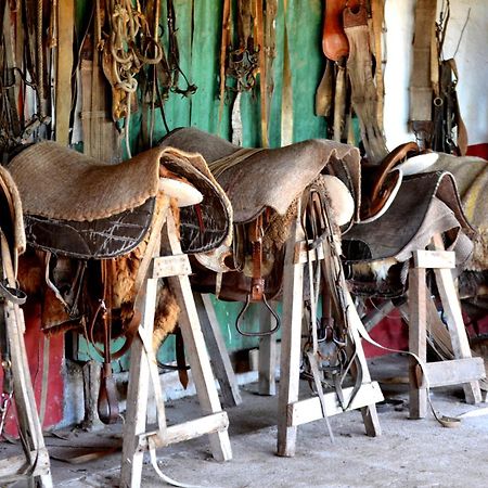 Estancia Hosteria El Ceibo Florida Zewnętrze zdjęcie
