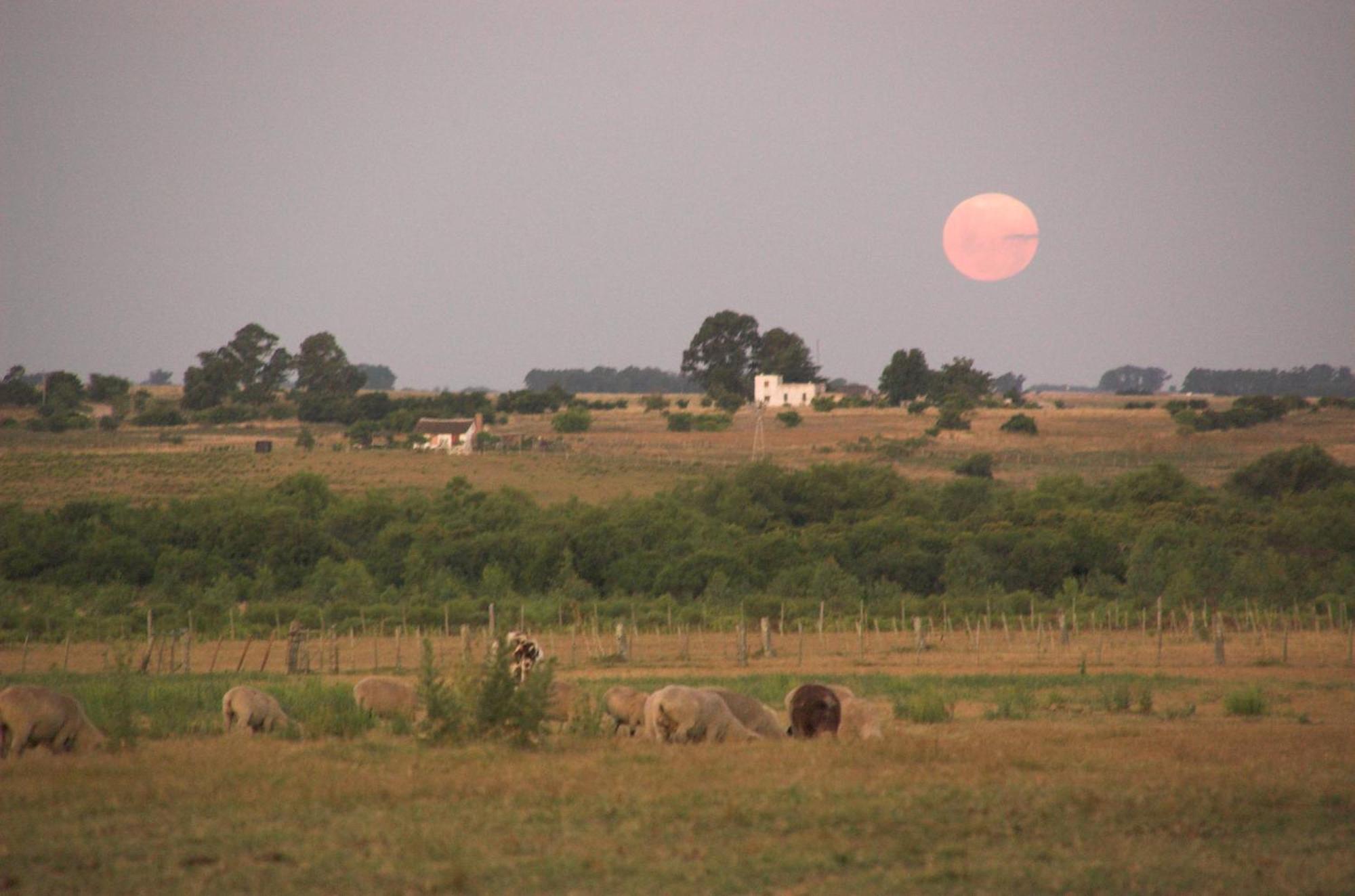 Estancia Hosteria El Ceibo Florida Zewnętrze zdjęcie