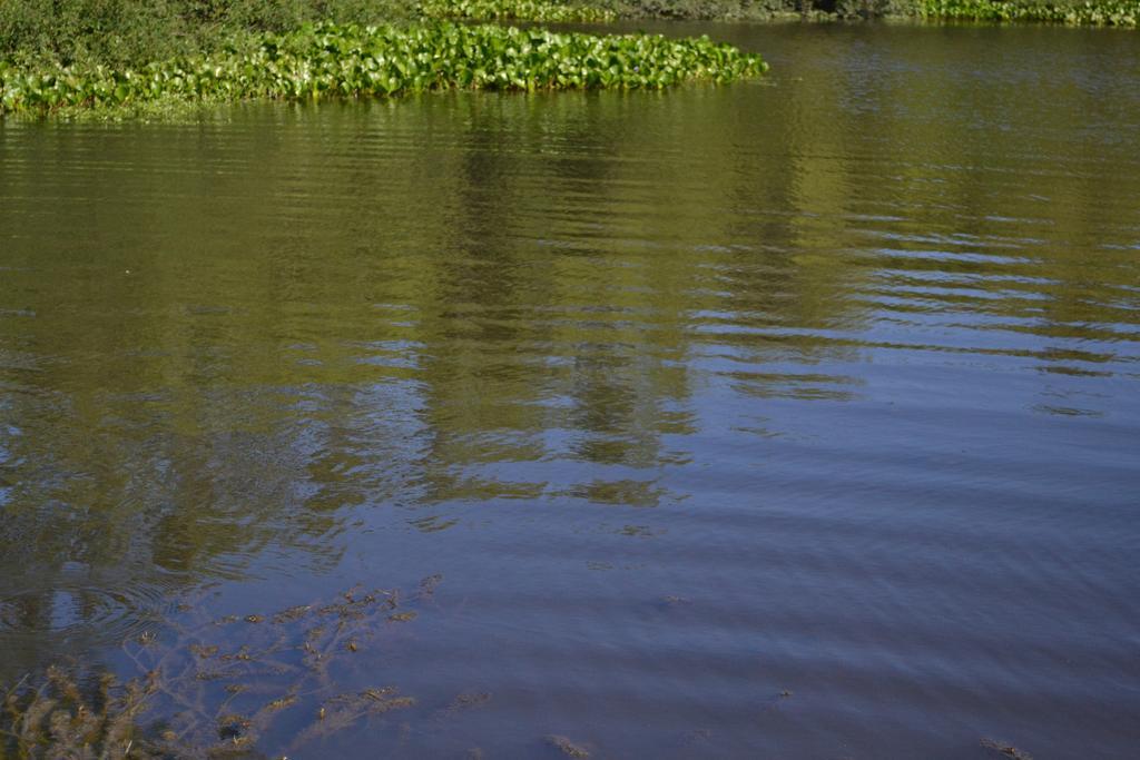 Estancia Hosteria El Ceibo Florida Zewnętrze zdjęcie