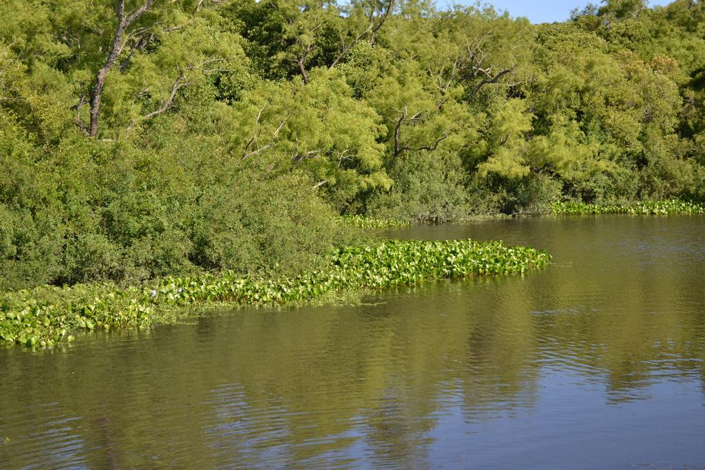 Estancia Hosteria El Ceibo Florida Zewnętrze zdjęcie