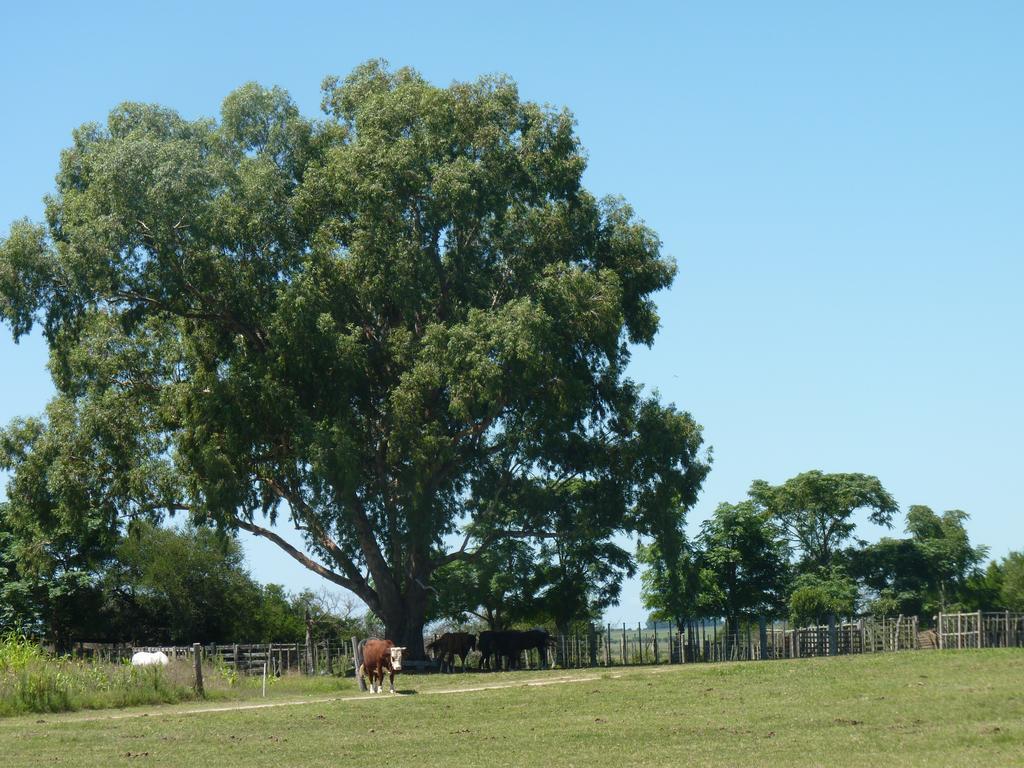 Estancia Hosteria El Ceibo Florida Zewnętrze zdjęcie